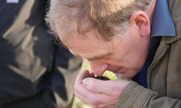 Farming checking soil quality by smelling it. 